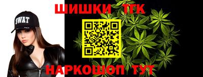 индика Моздок