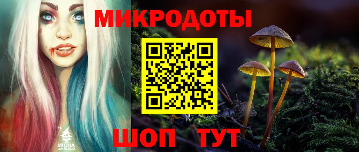 Галлюциногенные грибы Psilocybine cubensis Вязники
