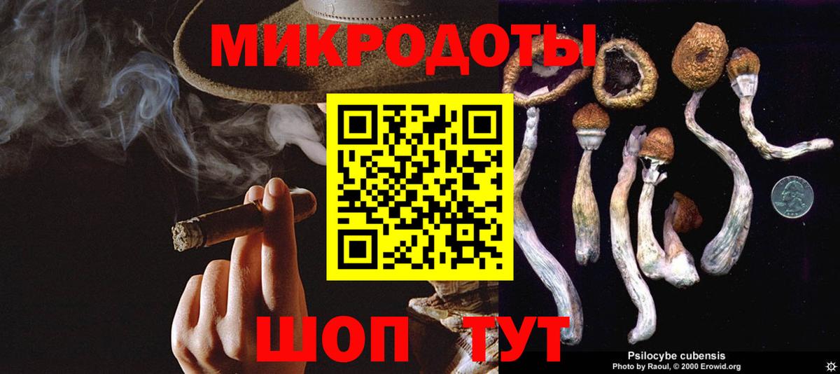 Вязники  Псилоцибиновые грибы Cubensis  Вход с VPN 